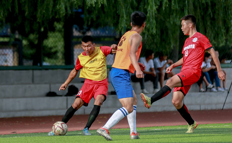陕西联合祝贺国安夺冠：足球因竞技而精彩，因同行而温暖（陕西联合贺国安加冕冠军：竞技铸就精彩，同行传递温暖）